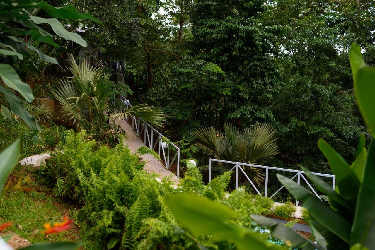 Volcano Gold Loft Hotel La Fortuna Exterior foto