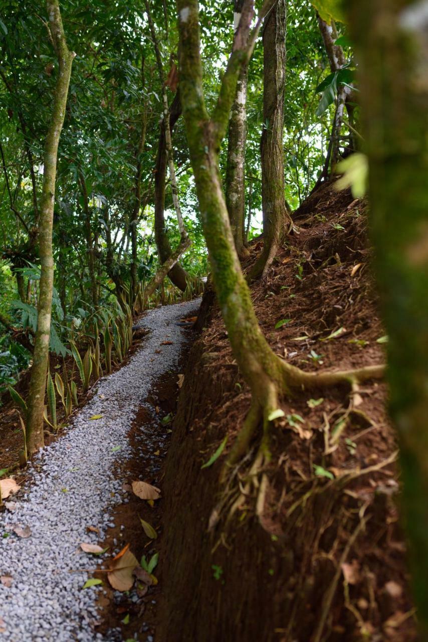 Volcano Gold Loft Hotel La Fortuna Exterior foto