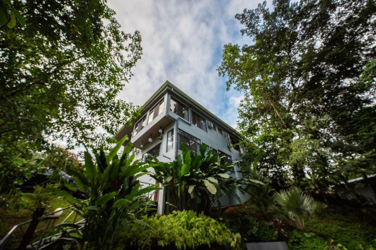 Volcano Gold Loft Hotel La Fortuna Exterior foto