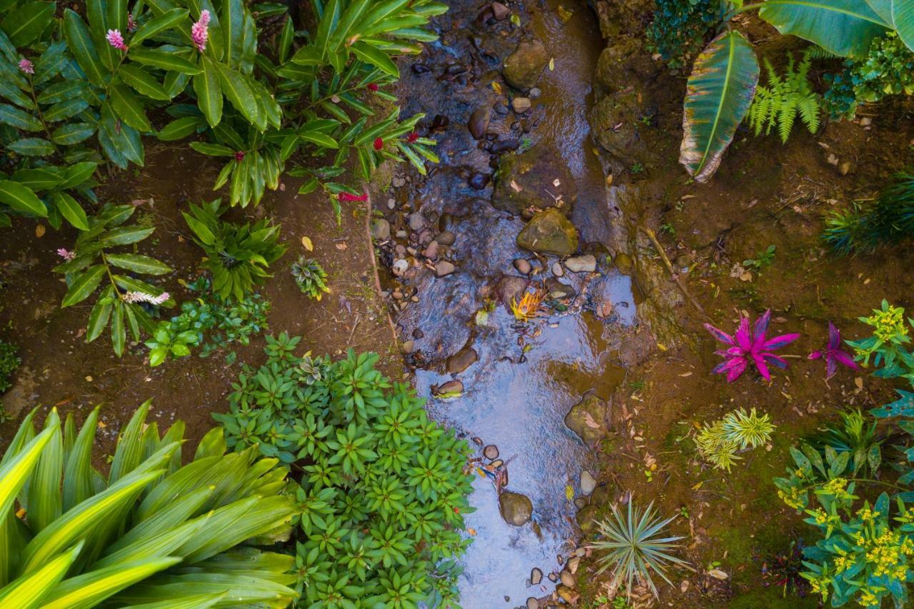 Volcano Gold Loft Hotel La Fortuna Exterior foto